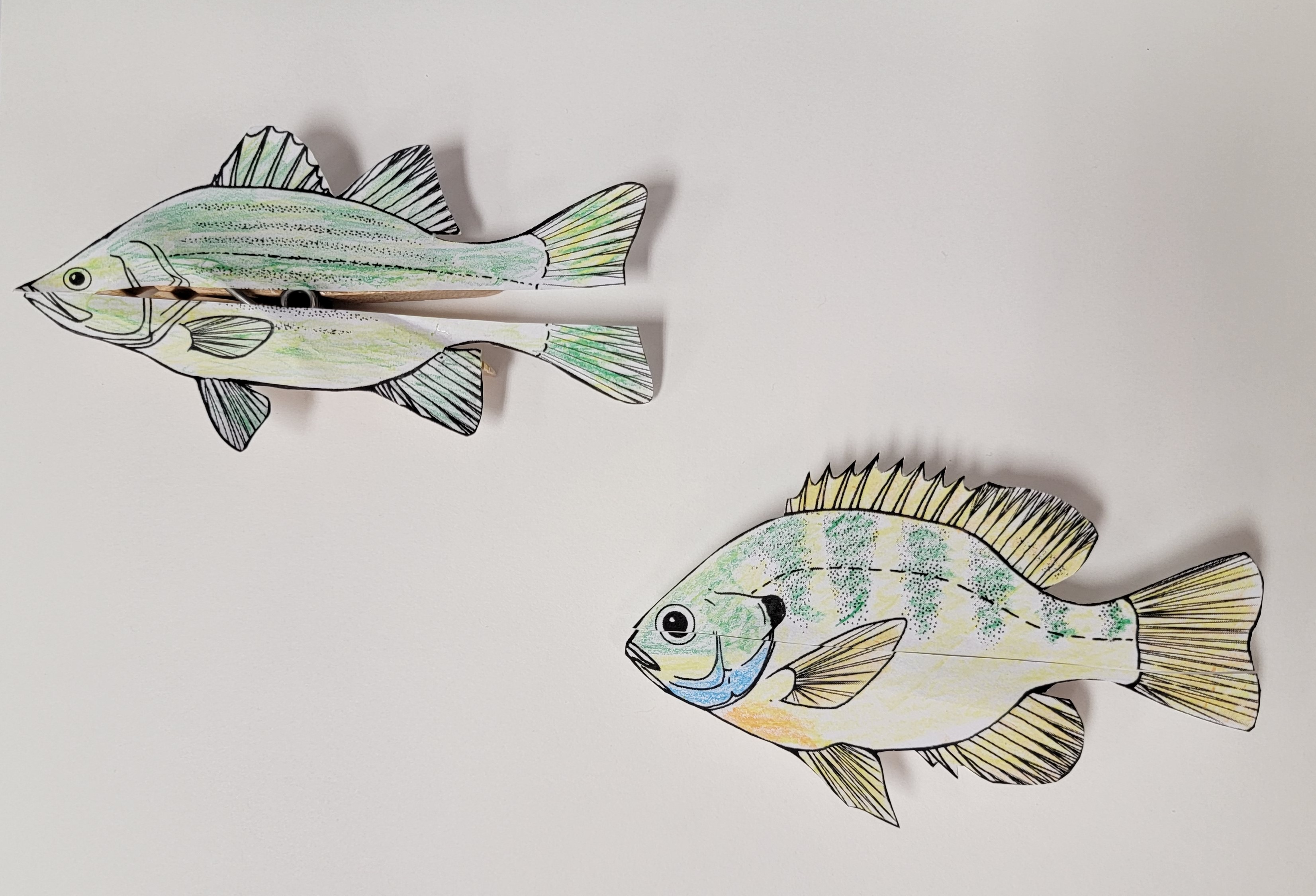 Children's Make and Take Clothespin Fish Kits Rock Island Public